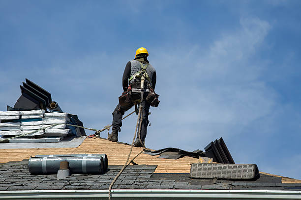 Professional Roof Replacement technician working in Adolphus, KY